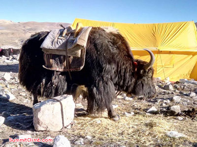 Cho Oyu Team ready for expedition